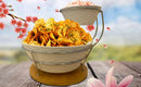C.S. 2 Tier Chip & Dip Bowls With a Stand & Bamboo Base