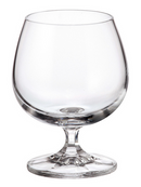 BOHEMIA FALCO TUMBLER 250ML/6PCS