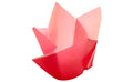 Hazel & Maya Tulip Cupcake Paper 24 Pcs