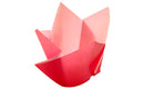 Hazel & Maya Tulip Cupcake Paper 24 Pcs