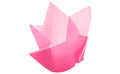 Hazel & Maya Tulip Cupcake Paper 24 Pcs