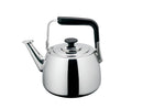 Dosthoff Induction Elegance Tea Kettle SS 18/8